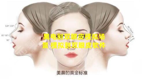 黑电割双眼皮模拟场景 模拟割双眼皮软件